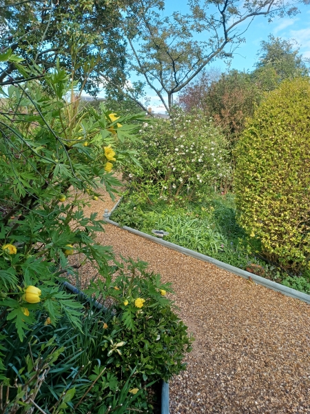 Four Acres